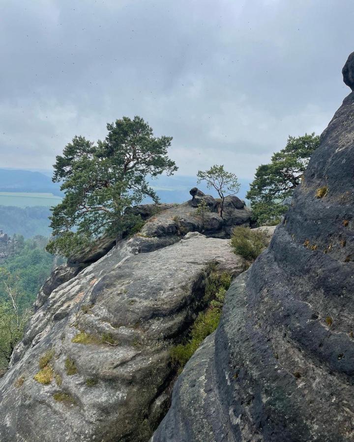 Bergblick Apartment SäChsische Schweiz Sebnitz Eksteriør bilde