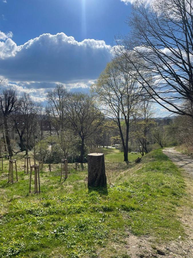 Bergblick Apartment SäChsische Schweiz Sebnitz Eksteriør bilde