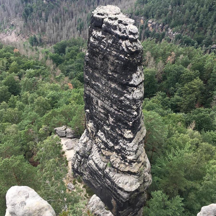 Bergblick Apartment SäChsische Schweiz Sebnitz Eksteriør bilde